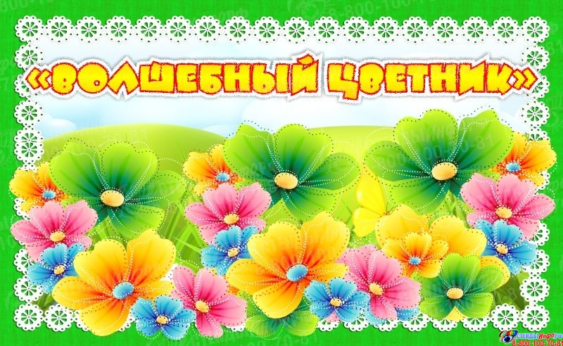 Цветник 54 Интернет Магазин Новосибирск Каталог