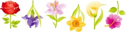 Купить Комплект наклеек Весенние цветы 6 шт 632*175 мм в России от 278.00 ₽