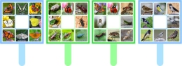 Купить Комплект табличек Бабочки, насекомые, жуки, птицы в России от 1219.00 ₽