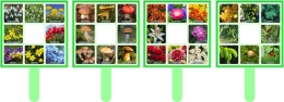 Купить Комплект табличек Найди весенние, летние цветы, грибы, деревья в России от 1219.00 ₽