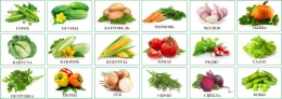 Купить Комплект табличек с названиями овощей 210*148 мм в России от 2758.00 ₽