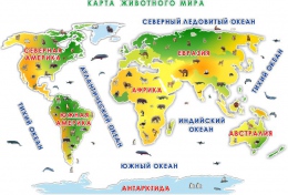 Купить Композиция Карта животного мира  4080*2770 мм в России от 42789.00 ₽