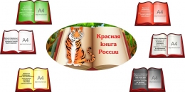 Купить Композиция стендов Красная книга России в России от 13974.00 ₽
