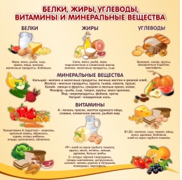 Купить Стенд Белки, жиры, углеводы, витамины и минеральные вещества в бежевых тонах 900*900 мм в России от 3993.00 ₽