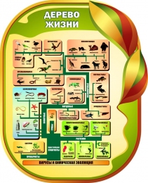 Купить Стенд Дерево жизни для кабинета биологии 650*800мм в России от 2642.00 ₽