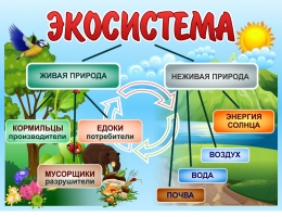 Купить Стенд Экосистема 800*600 мм в России от 1940.00 ₽