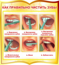 Купить Стенд фигурный Как правильно чистить зубы в золотистых тонах 270*300 мм в России от 411.00 ₽