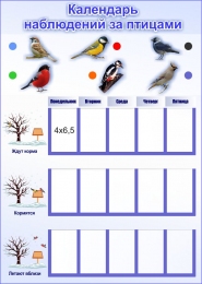 Купить Стенд Календарь наблюдений за птицами 300*420 мм в России от 1021.00 ₽