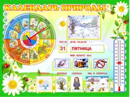 Купить Стенд Календарь природы для группы Ромашка 800*600 в России от 3775.00 ₽