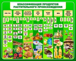 Купить Стенд Классификация продуктов растительного происхождения в зелёных тонах 1000*800 мм в России от 3840.00 ₽