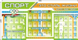 Купить Стенд-композиция Спорт - это стиль жизни для школы большой в голубых, зелёных и оранжевых тонах 4400*2200 мм в России от 53880.00 ₽