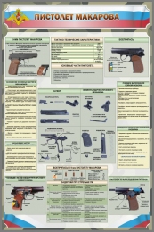 Купить Стенд пистолет Макарова 800*1200 мм в России от 4656.00 ₽
