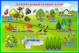 Купить Стенд Природный навигатор в зелёно-голубых тонах 600*400 мм в России от 1273.00 ₽ Купить Стенд Природный навигатор в зелёно-голубых тонах 600*400 мм в России от 1273.00 ₽