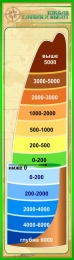Купить Стенд Шкала глубин и высот в кабинет географии в золотисто-зелёных тонах 400*1400 мм в России от 2688.00 ₽