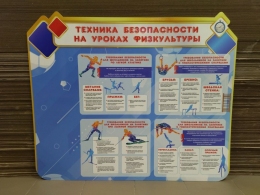 Купить Стенд Техника безопасности на уроках физкультуры 1200*1000 мм СКИДКА в России от 3440.00 ₽