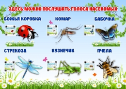 Купить Стенд Здесь можно послушать голоса насекомых 420*300 мм в России от 640.00 ₽