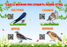 Купить Стенд Здесь можно послушать пение птиц 420*300 мм в России от 640.00 ₽