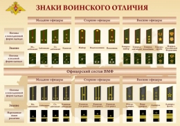 Купить Стенд Знаки воинского отличия 1000*700 мм в России от 3451.00 ₽