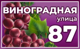 Купить Табличка на дом улица Виноградная 620*380 мм в России от 1162.00 ₽