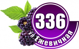 Купить Табличка Номер дома и название улицы в фиолетовых тонах с ежевикой 600х380 в России от 1158.00 ₽