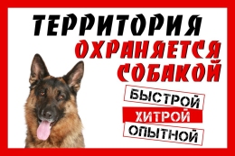 Купить Табличка Территория охраняется собакой 300*200 мм в России от 296.00 ₽