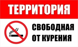 Купить Табличка Территория свободная от курения 460*280 мм в России от 635.00 ₽