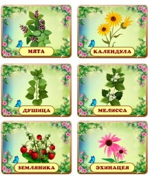 Купить Таблички с названиями растений для сада 200*150 мм в России от 864.00 ₽