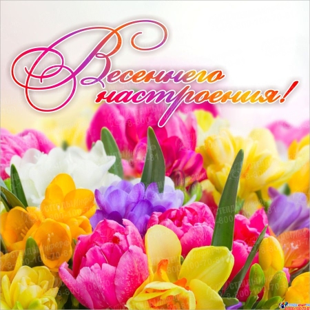 Баннер Весеннего настроения