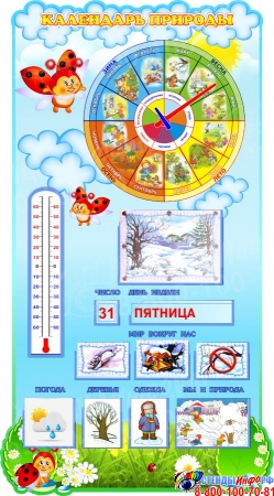 Фигурный стенд Календарь Природы вертикальный в группу Божья коровка 600*1000 мм