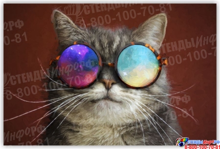 Картина на холсте Кот в космических очках