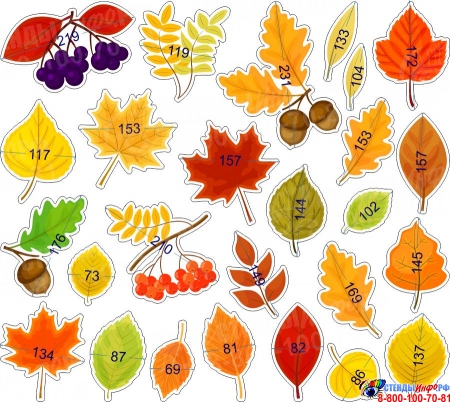 Комплект односторонних фигурных элементов для оформления Осенние листья 715х640мм Изображение #1