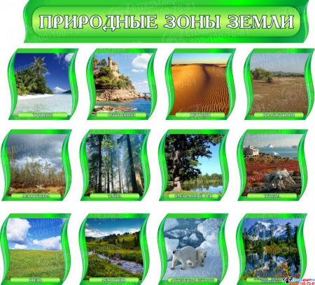 Комплект стендов Природные зоны Земли для кабинета географии в зеленых тонах с шапкой 300*300 мм