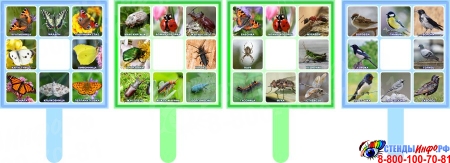 Комплект табличек Бабочки, насекомые, жуки, птицы