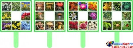 Комплект табличек Найди весенние, летние цветы, грибы, деревья