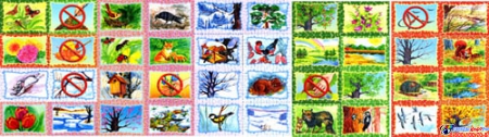 Стенд фигурный Календарь Природы, развивающий в группу Семицветик 800*650мм Изображение #3