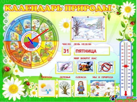 Стенд Календарь природы для группы Ромашка 800*600