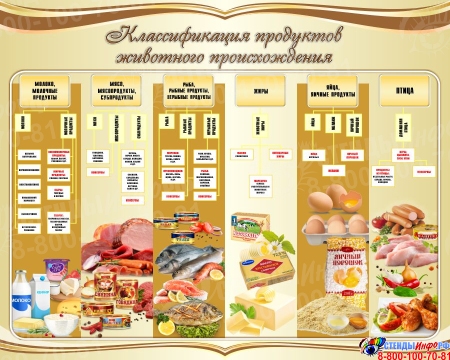 Стенд Классификация продуктов животного происхождения в золотистых тонах 1000*800 мм
