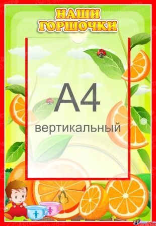 Стенд Наши горшочки для группы Апельсинка с карманом А4 335*485 мм