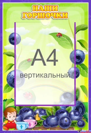 Стенд Наши горшочки для группы Черничка с карманом А4 335*485 мм
