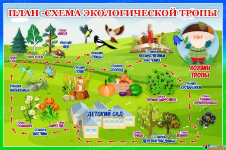 Стенд План-схема экологической тропы в зелёно-голубых тонах 600*400 мм