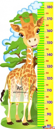 Стенд-Ростомер до 180 см с изображением Жирафика с карманом А5 460*110мм
