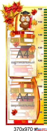 Стенд-Ростомер для начальной школы  с карманами А4  370*970мм