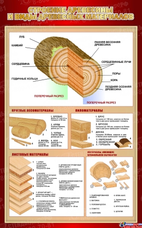 Стенд Строение древесины и виды древесных материалов в бордовых тонах  500*800 мм