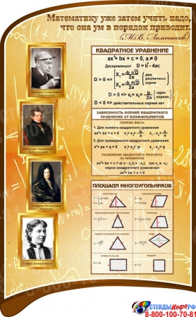 Стенд в кабинет математики Математика-царица наук в золотисто-коричневых тонах 2420*1070 мм Изображение #1