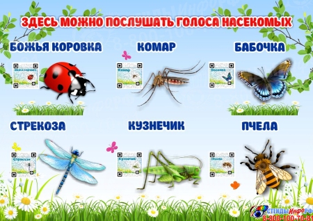 Стенд Здесь можно послушать голоса насекомых 420*300 мм