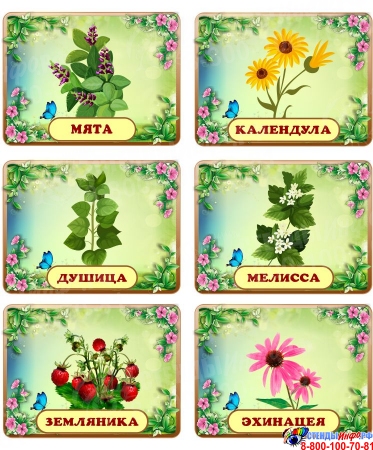 Таблички с названиями растений для сада 200*150 мм