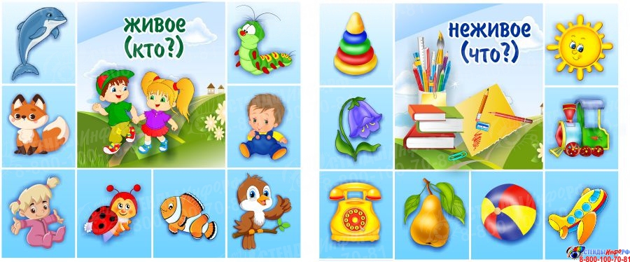 Что обозначает имя существительное в 5 классе: Секрет, который скрывают учителя