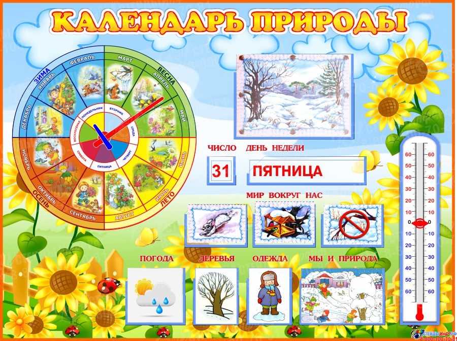 Календарь природы распечатать. Календарь природы. Автор первого календаря природы для территории башкортостана. Стенд календарь природы для детского сада. Стенд.