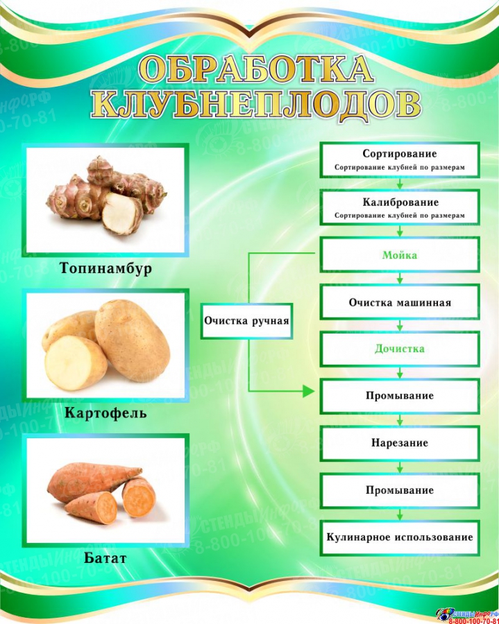 Схема обработки клубнеплодов